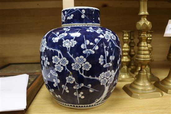 A Chinese large bulbous ginger jar and cover decorated prunus